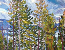 Patty Ampleford, Our Trees