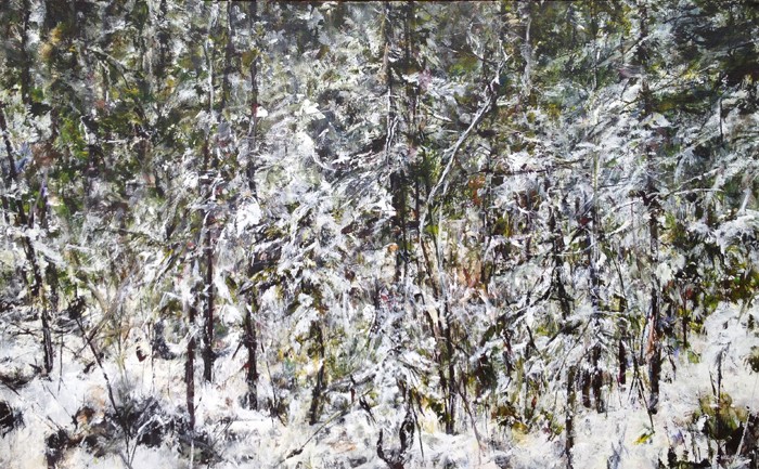 Judy Cheng Lost Lake Trail 31x48