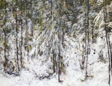 Judy Cheng, Whistler Mountain Run