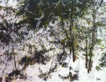 Judy Cheng, Fitzsimmons Creek