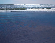 Carol Haigh, Indigo Sea
