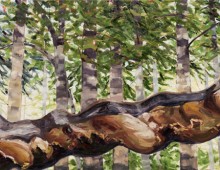 Nicola Wheston, Giant Arbutus