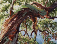 Nicola Wheston, Summer Arbutus II